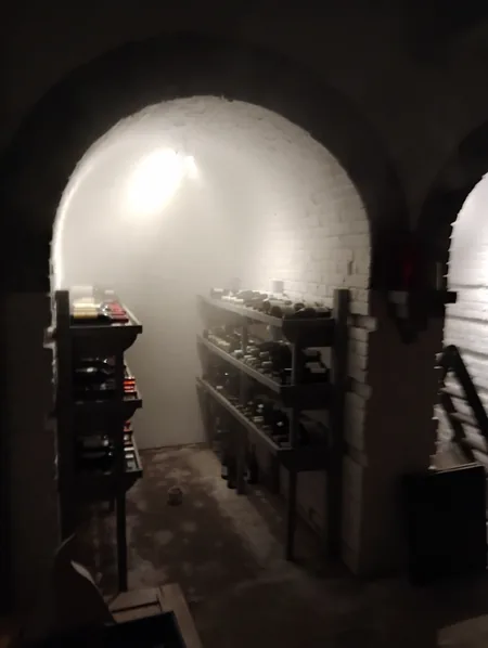 Fumigation d'une cave voûtée — Le brouillard occupe tout le volume et pénètre les joints, les fissures et l'arrière des casiers, là où un pulvérisateur n'atteint pas.
