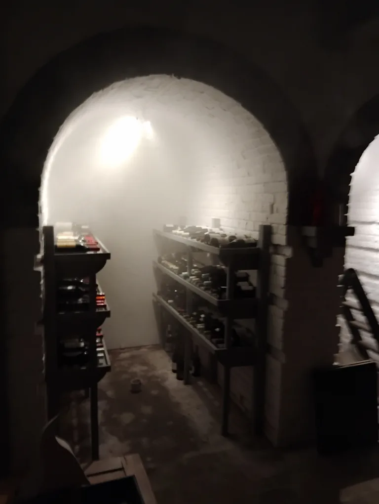 Cave voûtée en brique peinte remplie de brouillard insecticide pendant une fumigation, casiers à bouteilles en place