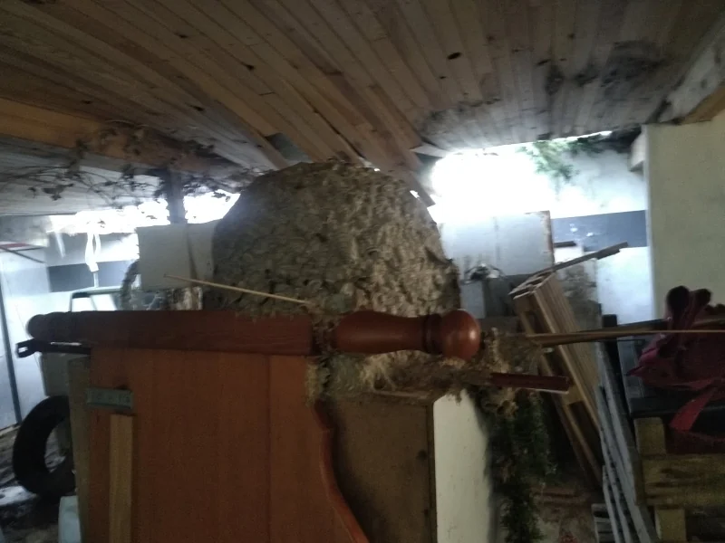 Nid de guêpes dans les combles — Fixé sur la sous-face d'un plancher de comble, entre les solives : invisible depuis la maison.