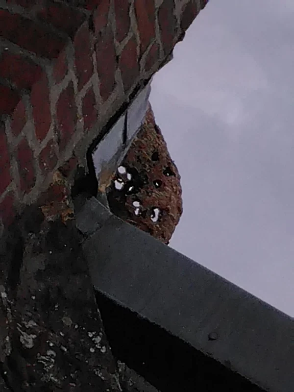 Nid de frelons dans une gaine — Un nid construit contre une gaine technique, dans un local. Les frelons cherchent l'abri et la chaleur.